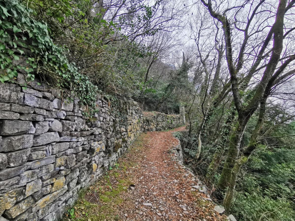 Near Villa Monastero And Castello Di Vezio Βαρένα Εξωτερικό φωτογραφία